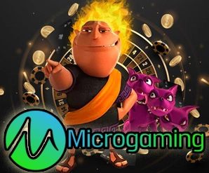 micro img